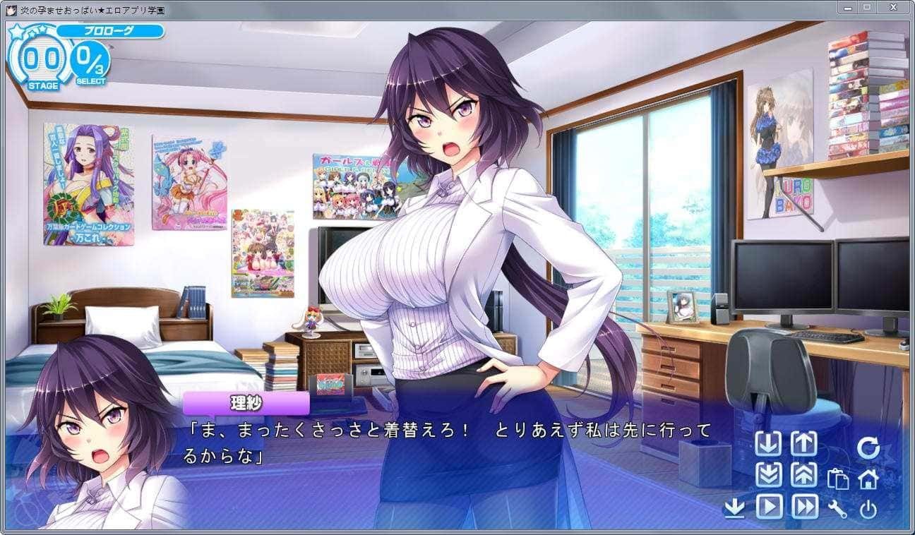 炎孕系列 版本整合 演示图 3